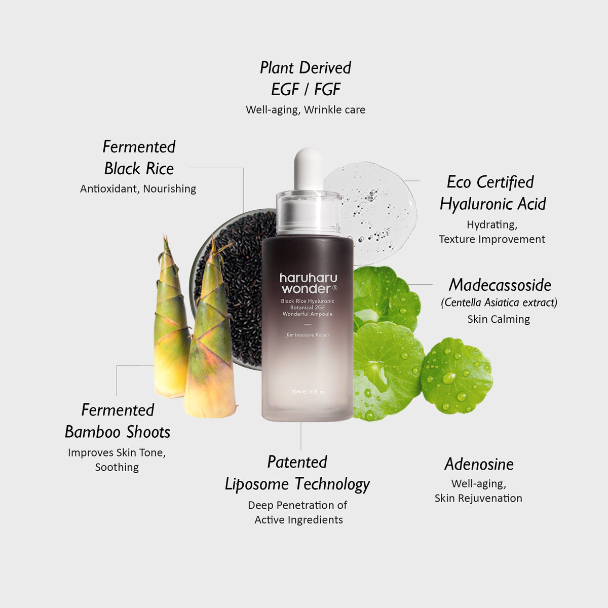 Haruharu Wonder Black Rice 2GF Botanical Ampoule 30ml — product image 5