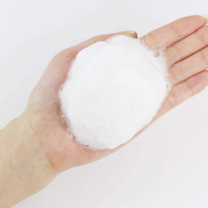 Round Lab 1025 Dokdo Cleanser 150ml — official product image 3
