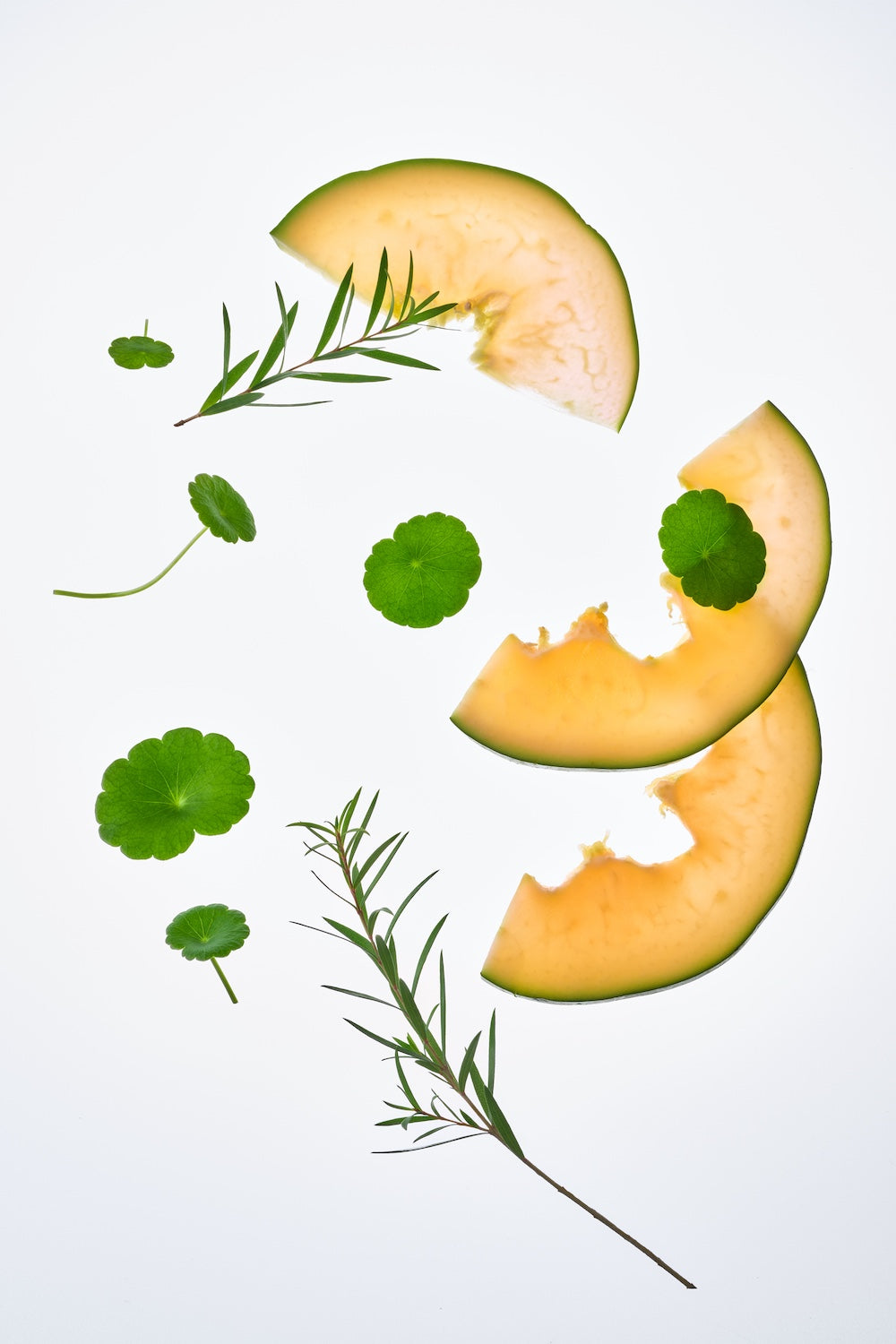 TOCOBO Cica Calming Powder Wash 50g - product image 8