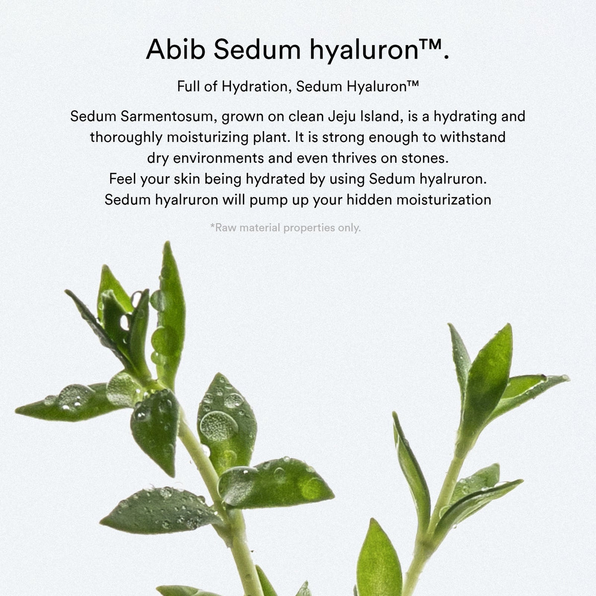 Abib Sedum Hyaluron Crème Hydrating Pot 80ml - official Abib product image 3